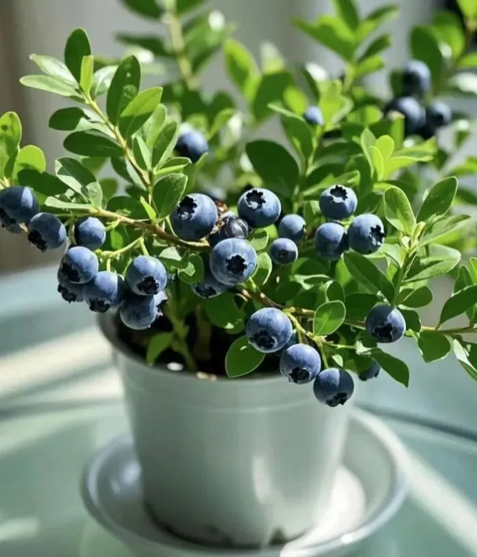 【十年“九十种营销模式”】