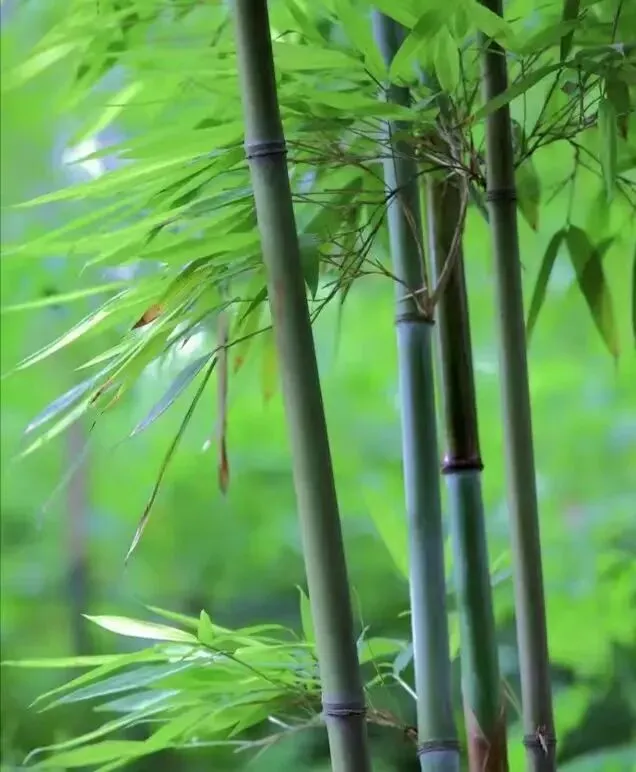 【十年“九十种营销模式”】