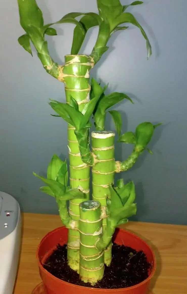 【十年“九十种营销模式”】