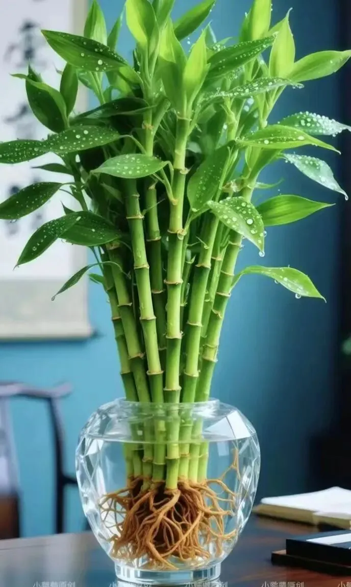 【十年“九十种营销模式”】