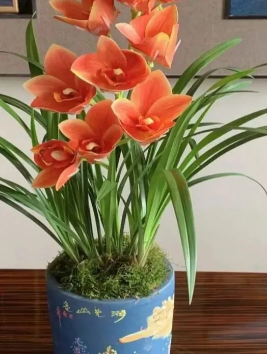 【十年“九十种营销模式”】