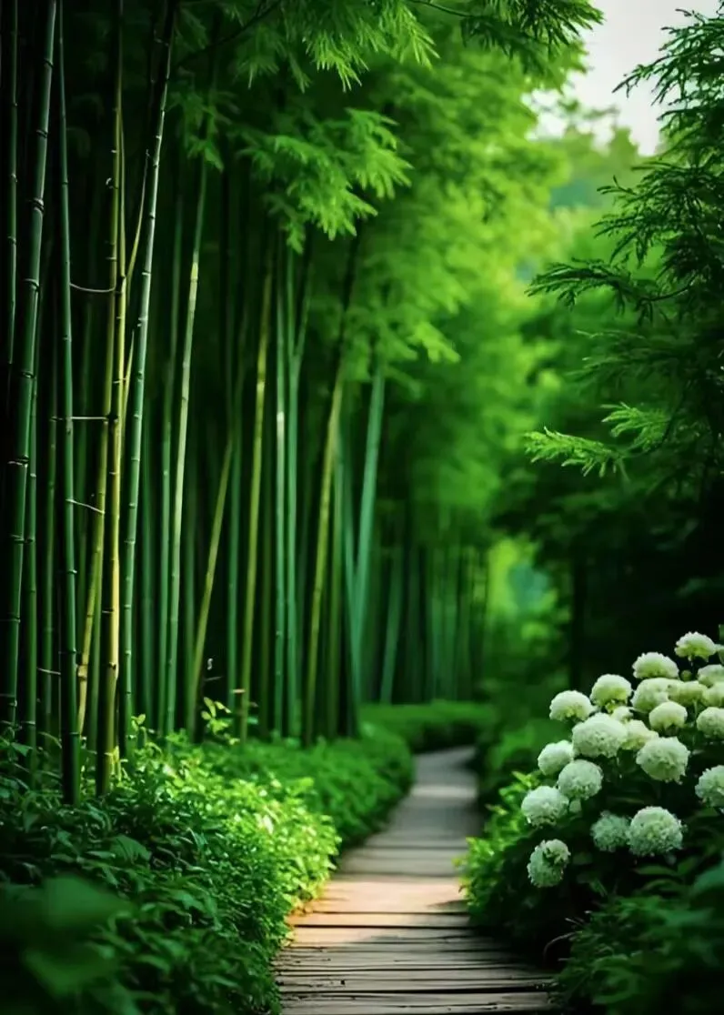 【十年“九十种营销模式”】