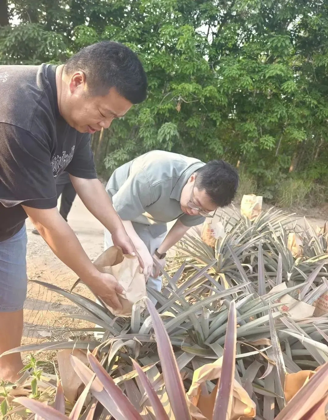 深入疆外市场一线,探寻鲜果产地源头