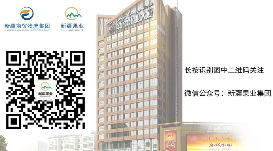 深入疆外市场一线,探寻鲜果产地源头
