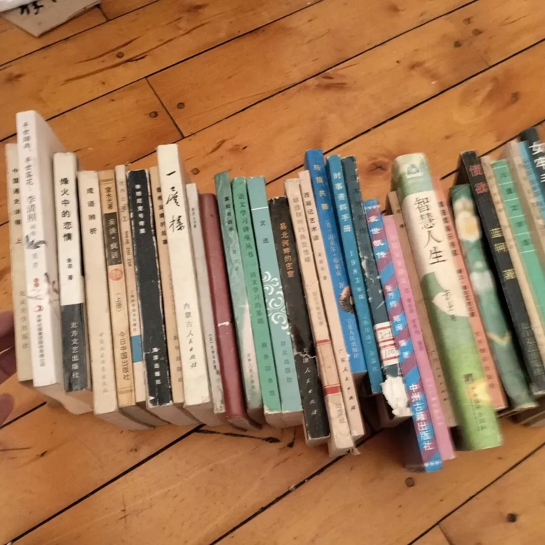 3月28日旧物市场淘书日记