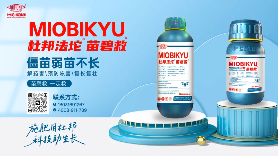 尿素市场简讯2026年3月28日