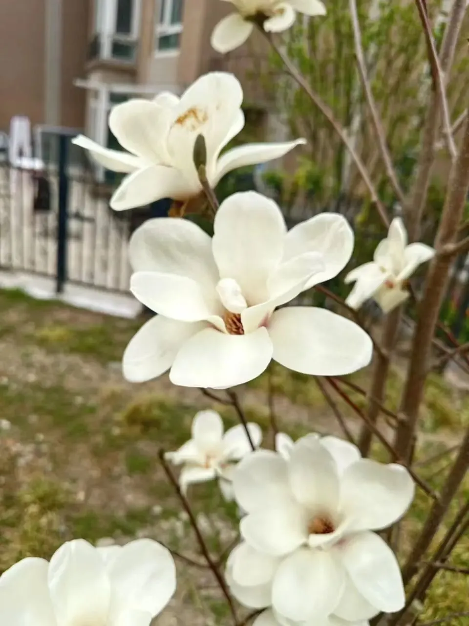 致家政姐妹:2026节后市场冷静期,沉心蓄力,静待花开