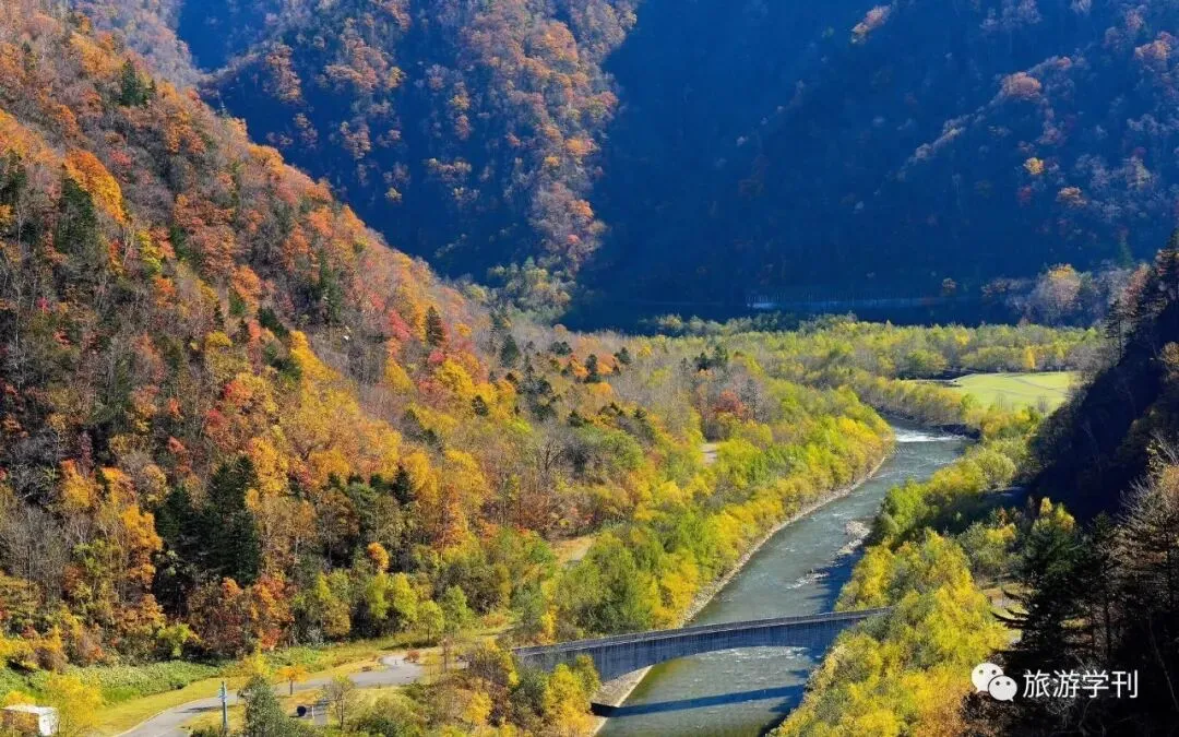 笔谈 | 张树民:发挥市场主体作用,强化循环内生动力