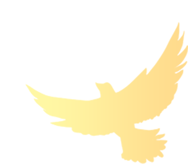 面点制作、电工实操、互联网营销多样课程上线,报名→