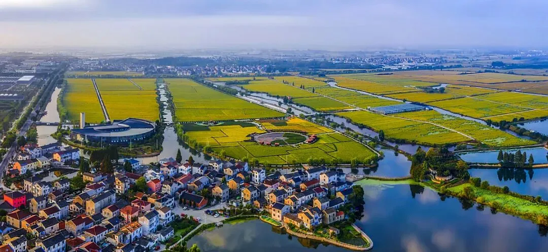 社区创业红利爆发:10万亿市场,不同地区玩法不同