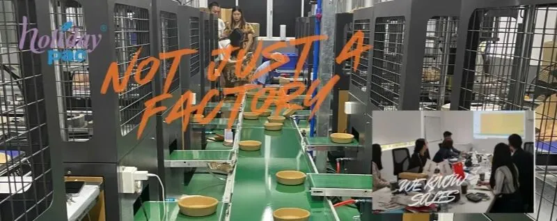 Holidaypac 为何是您全球包装市场的战略合伙人?