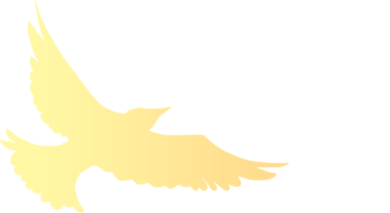 面点制作、电工实操、互联网营销多样课程上线,报名→