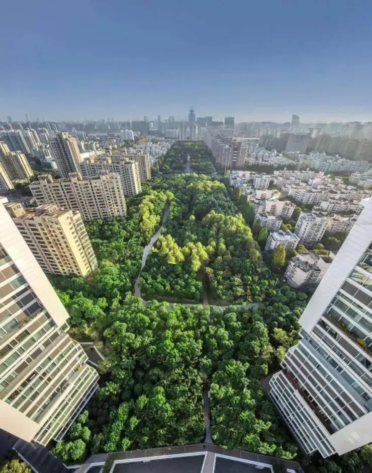 中鹰黑森林官方售楼处电话|中鹰黑森林营销中心官网│中鹰黑森林2026售楼处-楼盘价格/户型/地址/物业电话/环境/配套/交房时间/官方电话