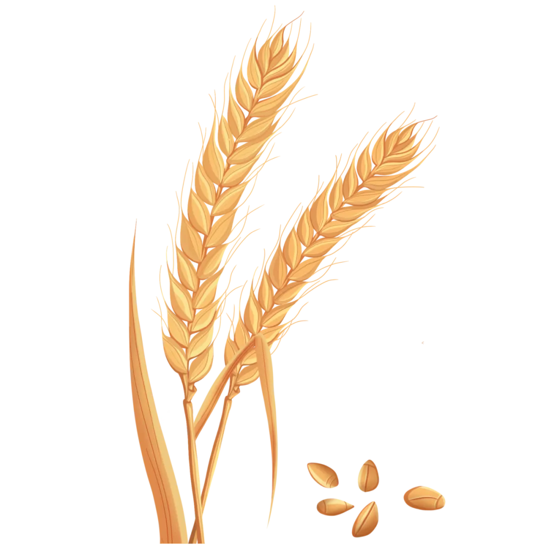 行情 | 10月13日小麦市场陷入多空博弈,短期价格区间震荡为主