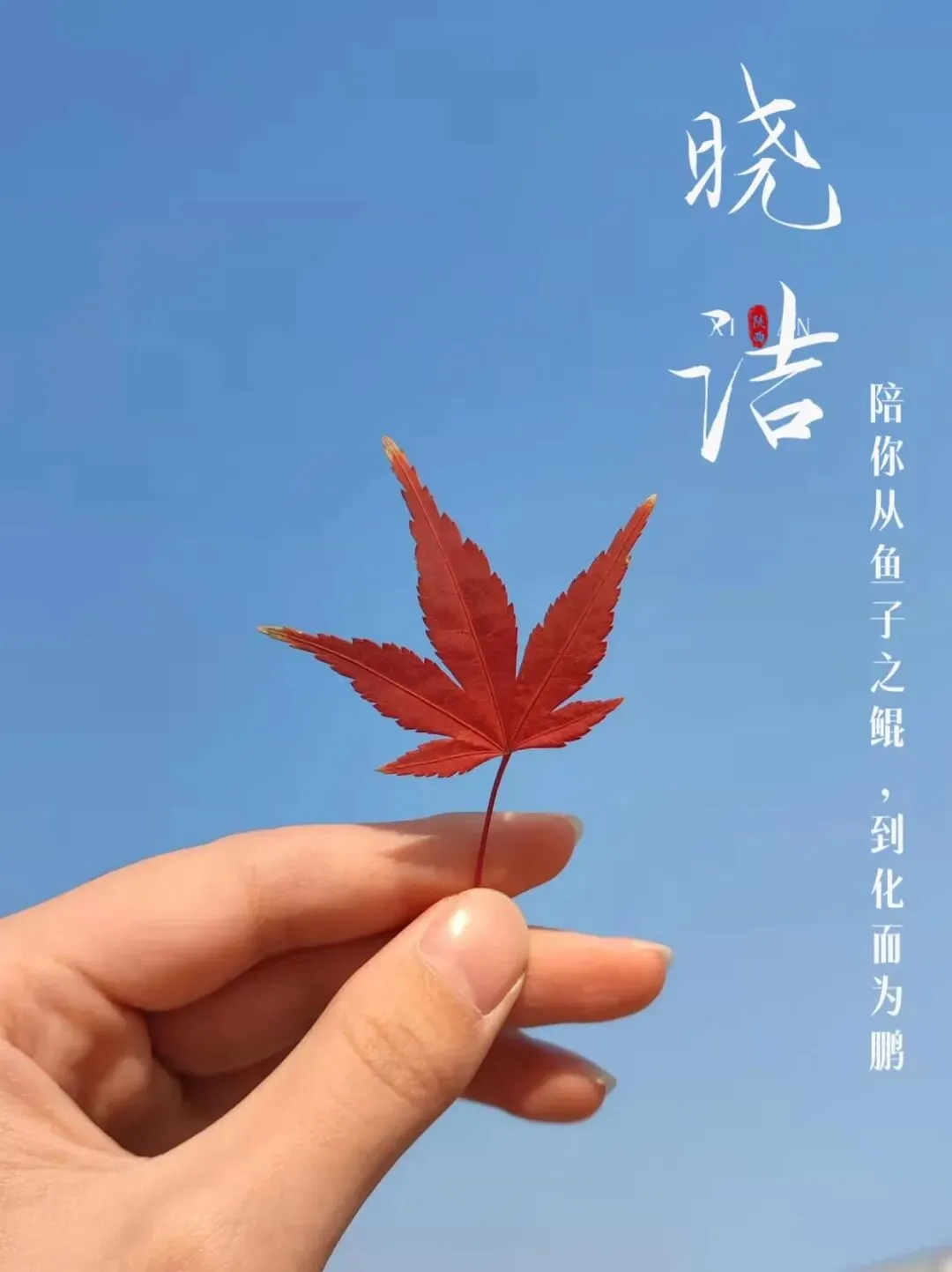 晓洁:美人三十六计 | 揭秘占领空白市场,成为细分领域“无冕之王”的神秘攻略!