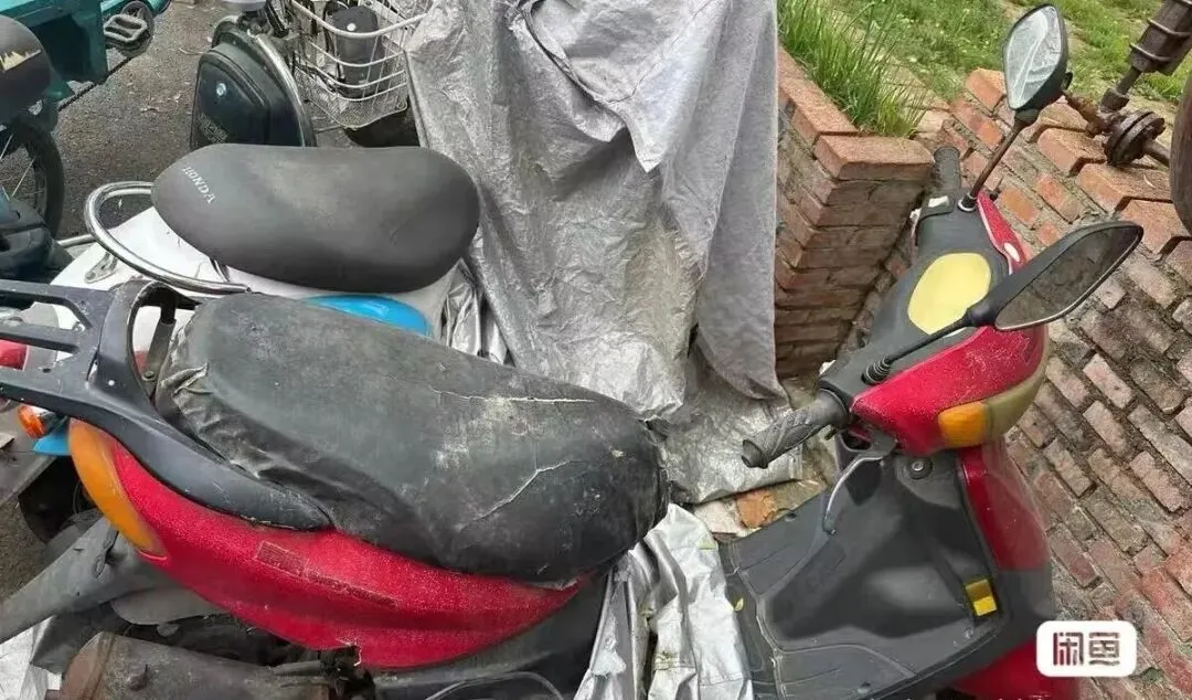 【跳蚤市场】别扔!你的闲置,可能是别人的宝贝!以物换物,轻松盘活“沉睡资源”