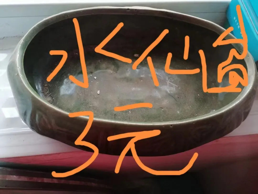 【跳蚤市场】别扔!你的闲置,可能是别人的宝贝!以物换物,轻松盘活“沉睡资源”