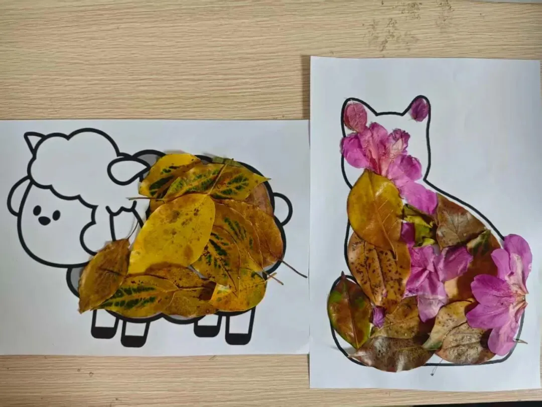 计信资讯 | 我院2024级计算机科学与技术团支部开展“绿意润心强信念,青春聚力担使命”主题团日活动