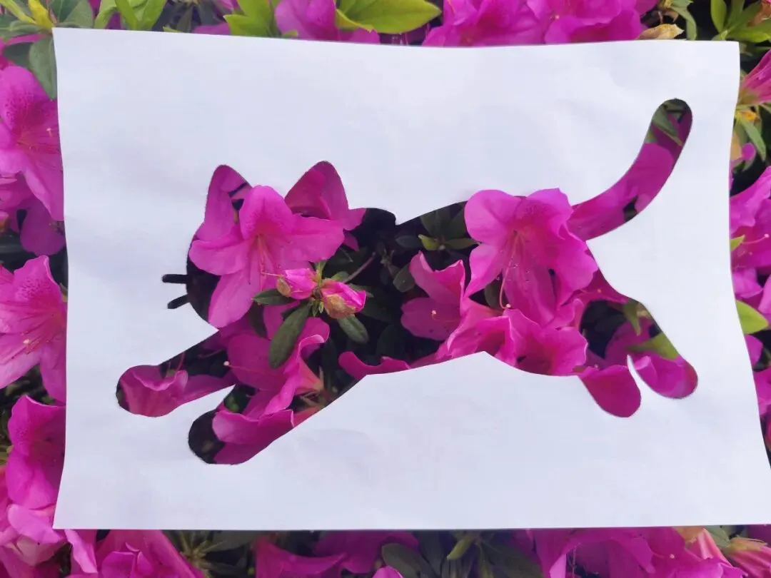 计信资讯 | 我院2024级计算机科学与技术团支部开展“绿意润心强信念,青春聚力担使命”主题团日活动