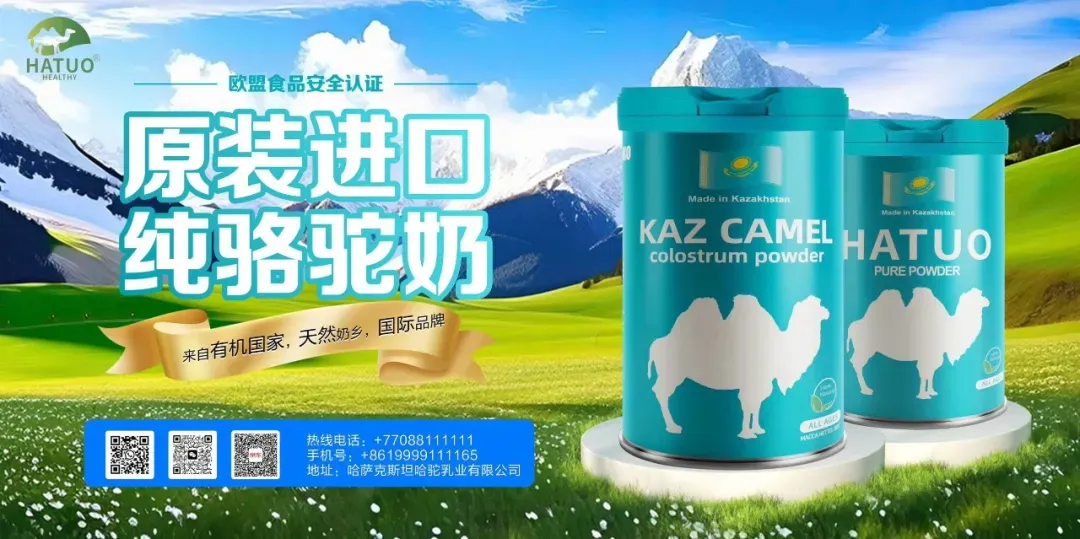 中亚客商抢滩新疆文旅市场