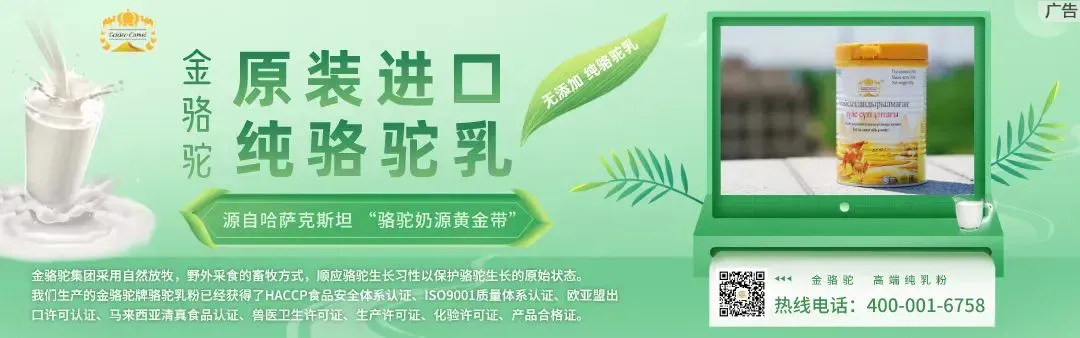 中亚客商抢滩新疆文旅市场