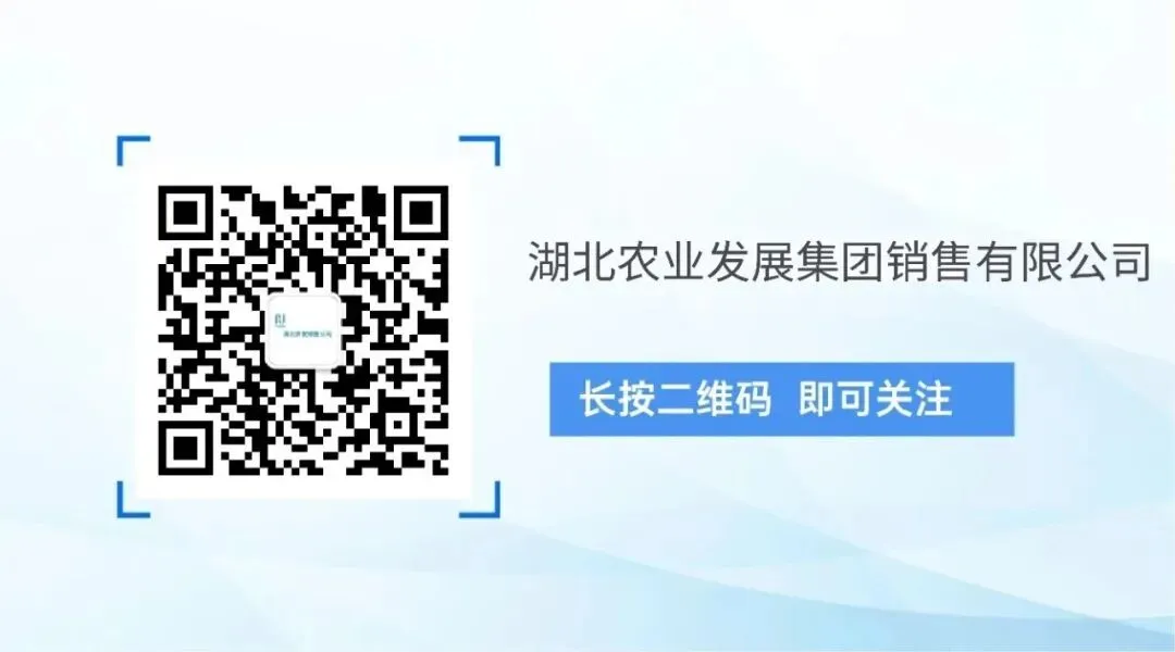 农发销售集团成为“支点品牌研究院”首批战略合作伙伴 聚力助推湖北品牌向世界迈进