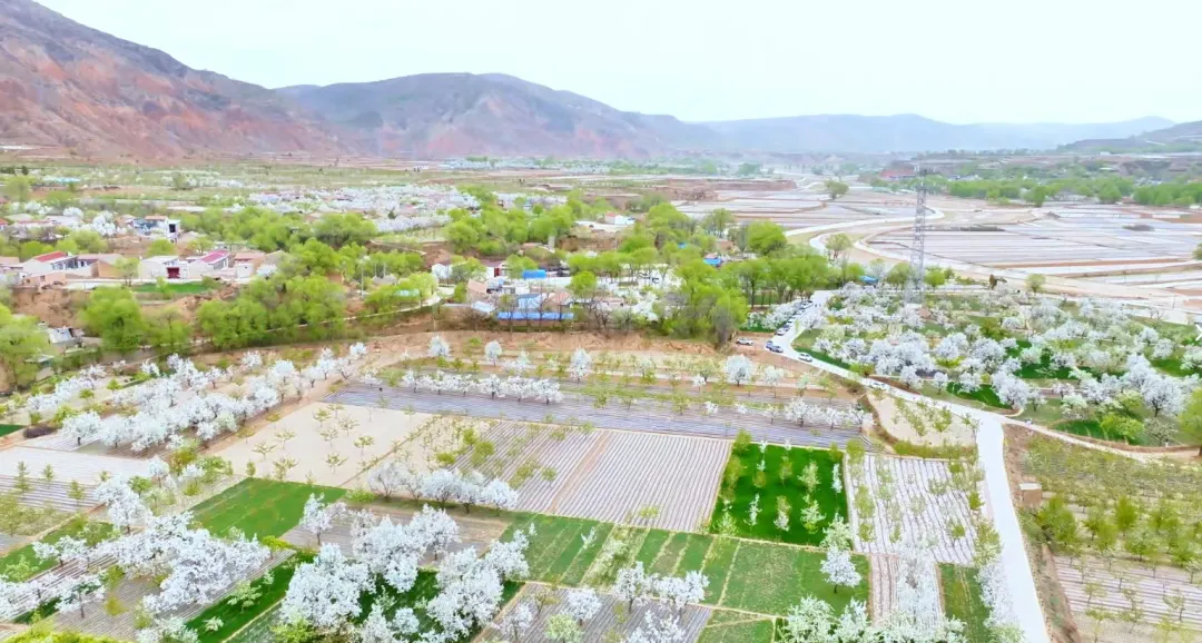 临洮亮相第十届丝绸之路文旅营销大会
