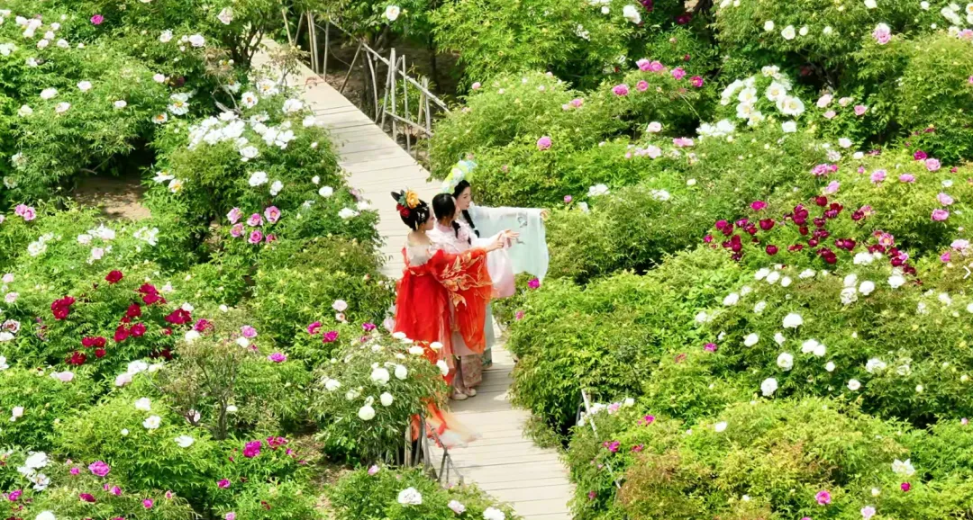 临洮亮相第十届丝绸之路文旅营销大会