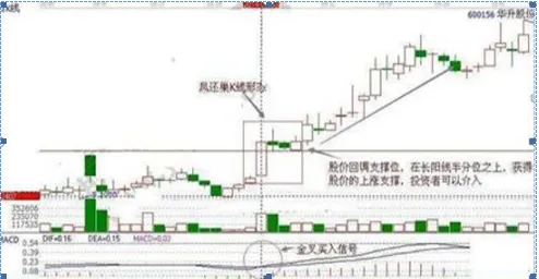 巴菲特点破A股市场:6124点买入5万元宝钢股票,不管波动死捂到现在赚多少?单单分红足以吓人