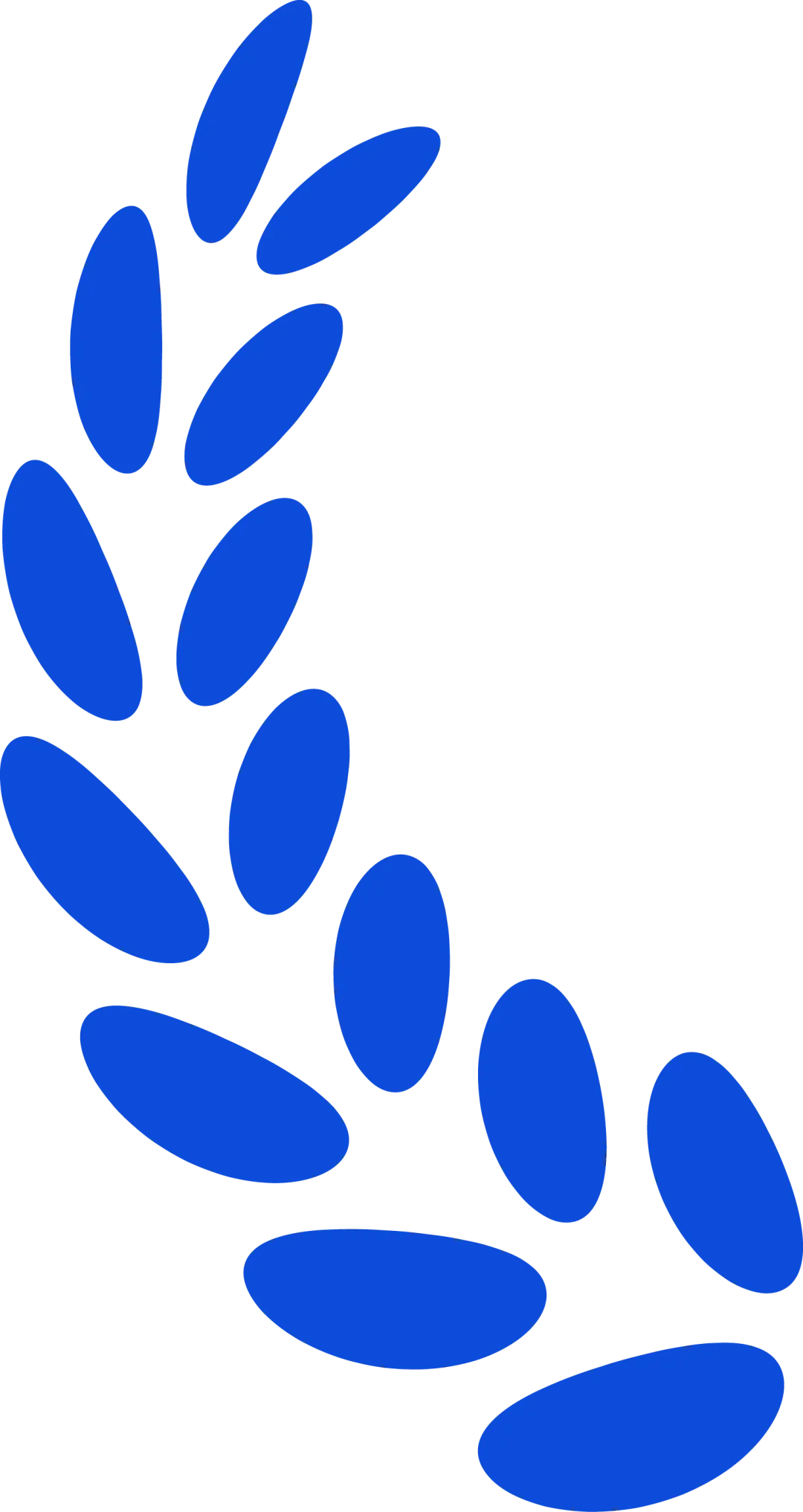 光伏市场降温实测:三大技术路线价格分化,退税取消倒逼行业洗牌