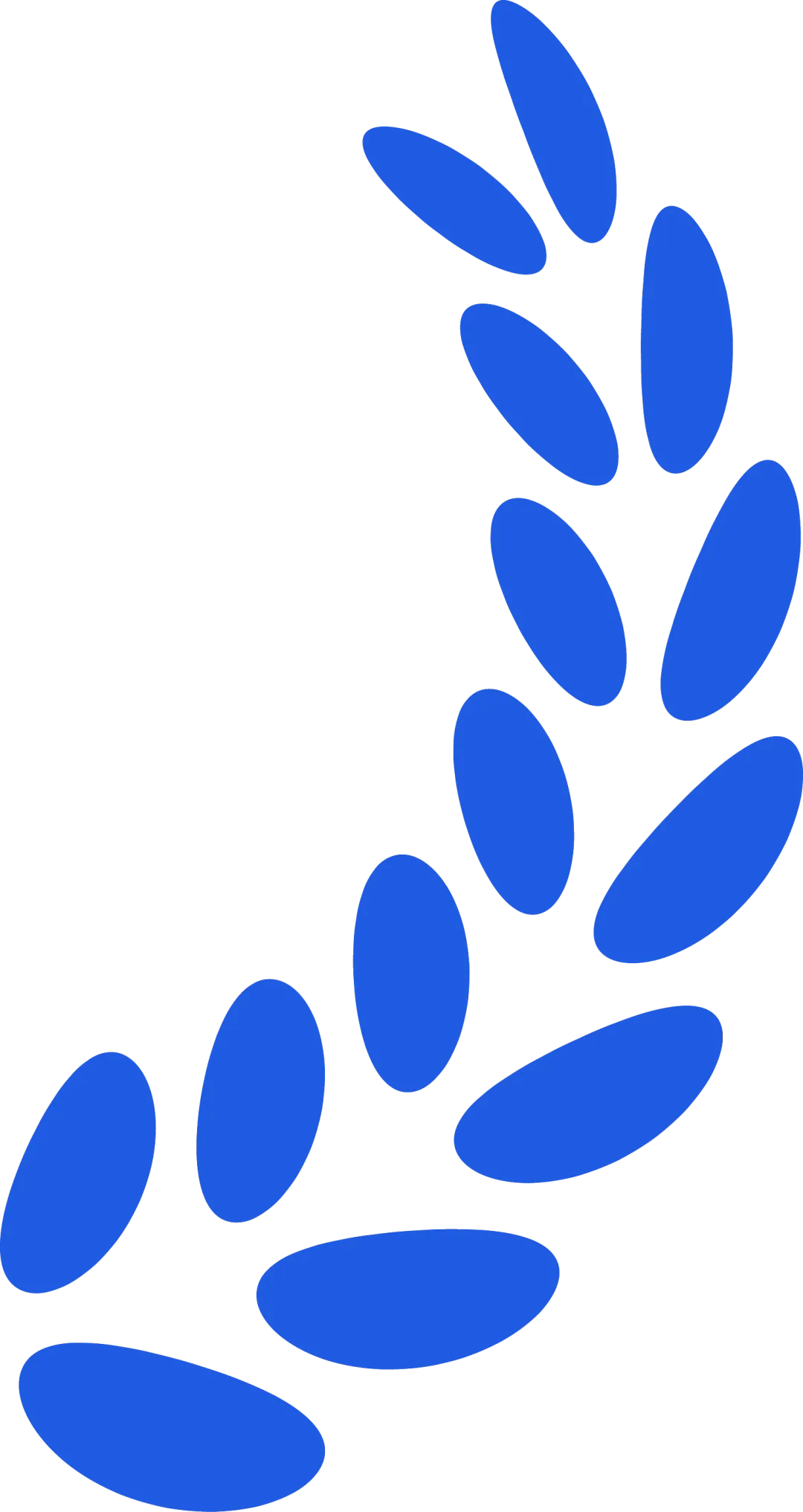 光伏市场降温实测:三大技术路线价格分化,退税取消倒逼行业洗牌