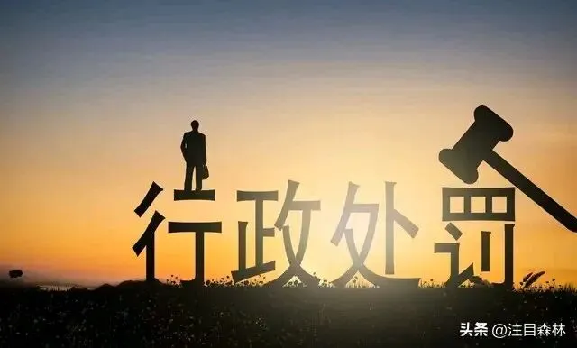 市场监管执法(次数认定、处罚裁量)等认定标准与计算方法