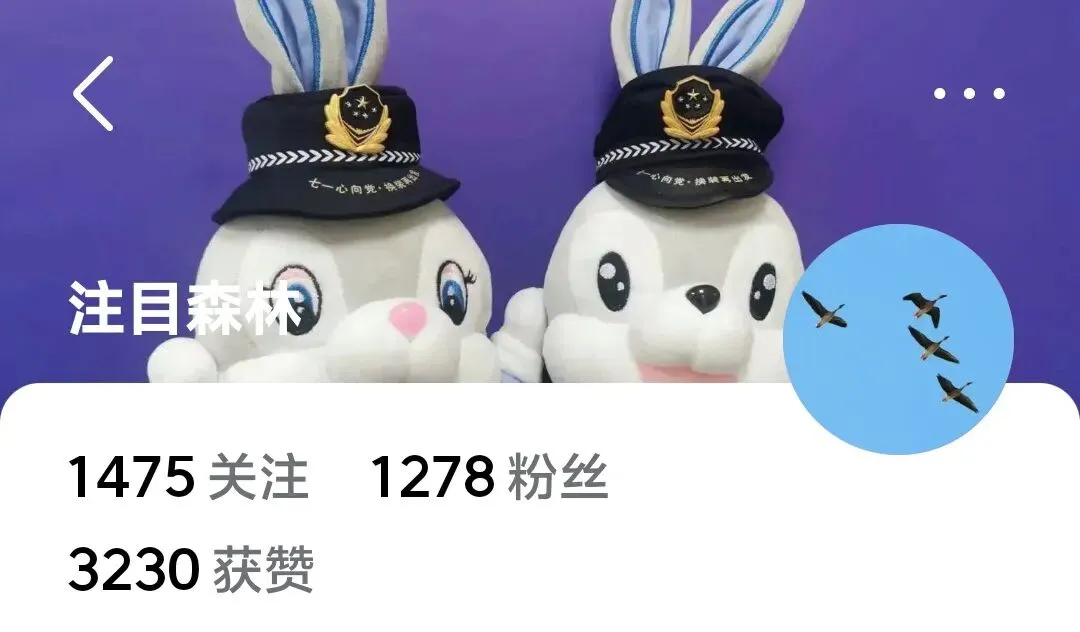 市场监管执法(次数认定、处罚裁量)等认定标准与计算方法