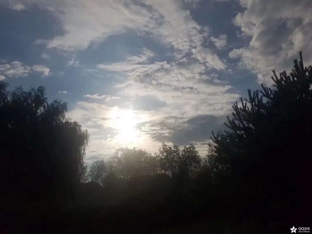 制裁钱权交易,重在打击卖方市场/列子御风