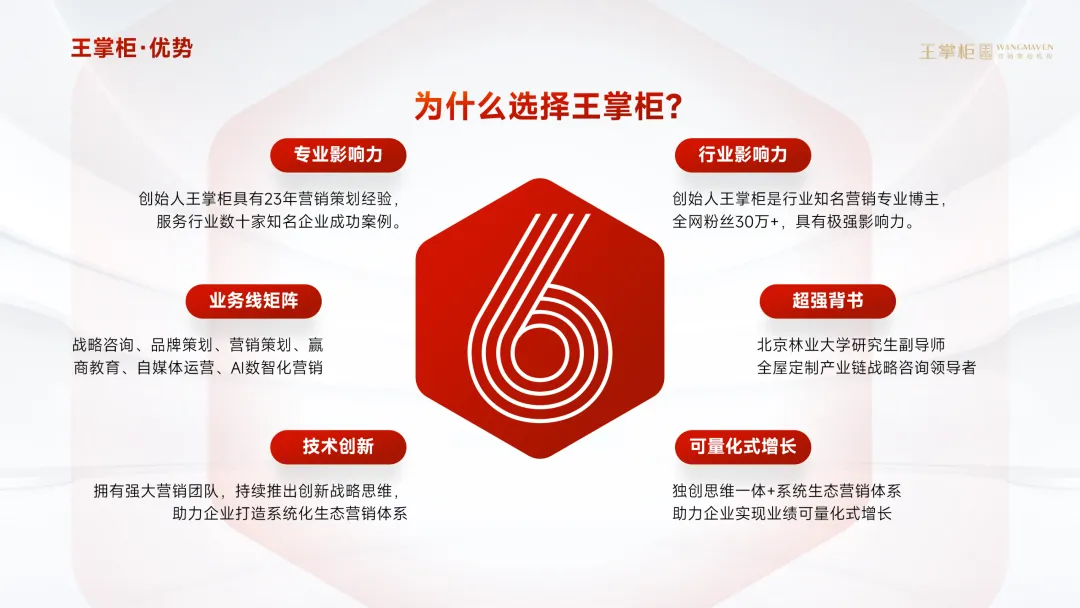 《关于王掌柜营销咨询服务》