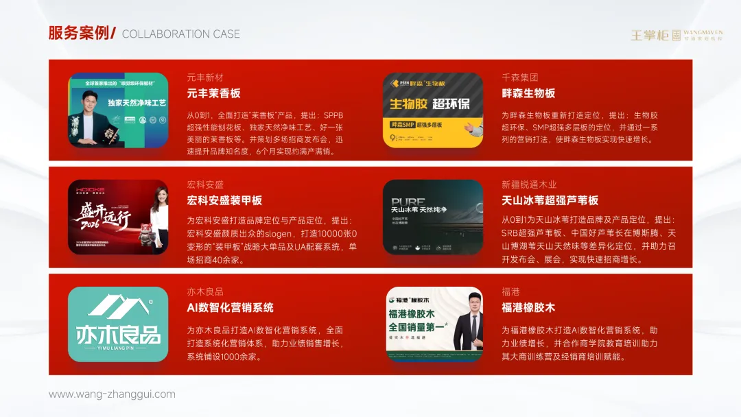 《关于王掌柜营销咨询服务》