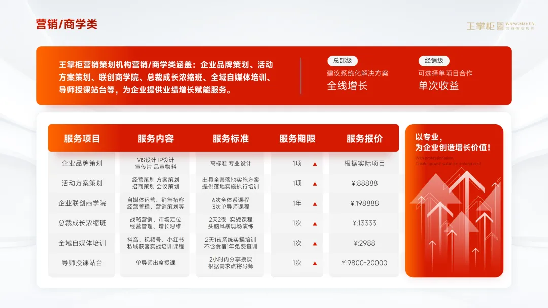 《关于王掌柜营销咨询服务》