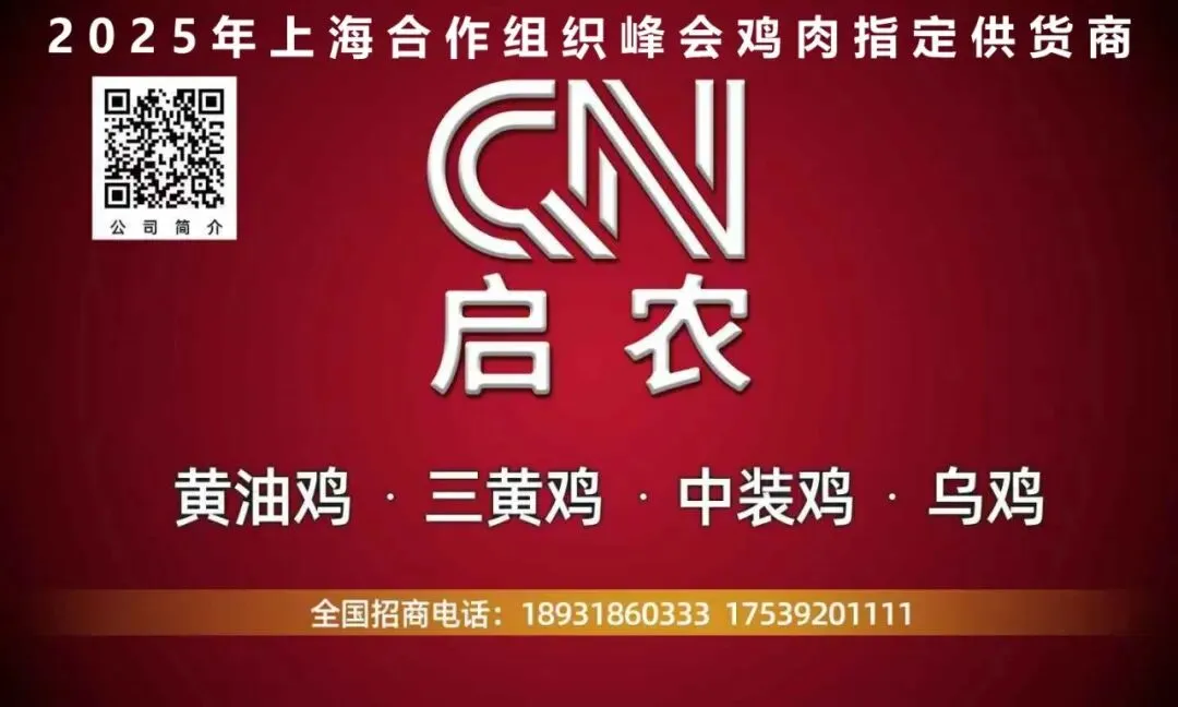 鸡价僵持,人心焦灼——817市场陷入“钝刀割肉”困局!-3月29日817小白鸡价格-817资讯