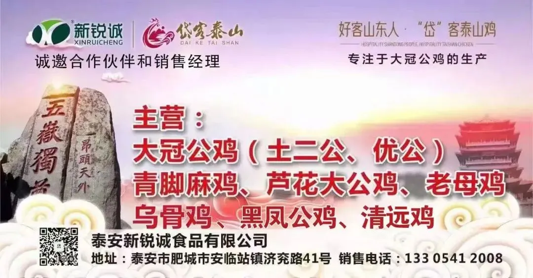 鸡价僵持,人心焦灼——817市场陷入“钝刀割肉”困局!-3月29日817小白鸡价格-817资讯