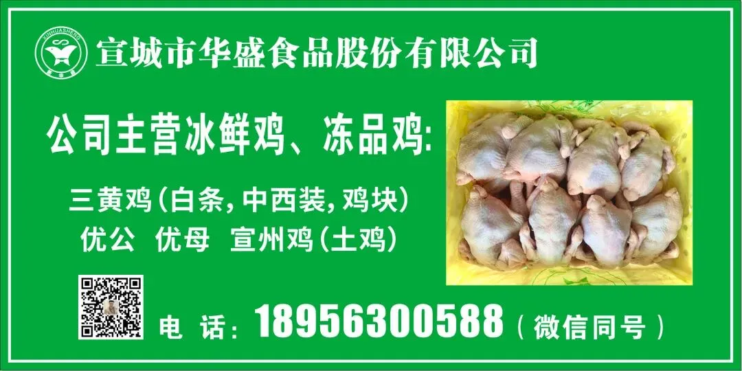 鸡价僵持,人心焦灼——817市场陷入“钝刀割肉”困局!-3月29日817小白鸡价格-817资讯