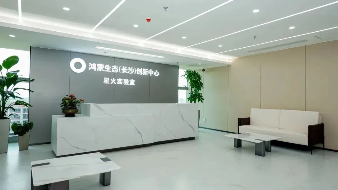 一颗“中国芯”引爆消费电子市场