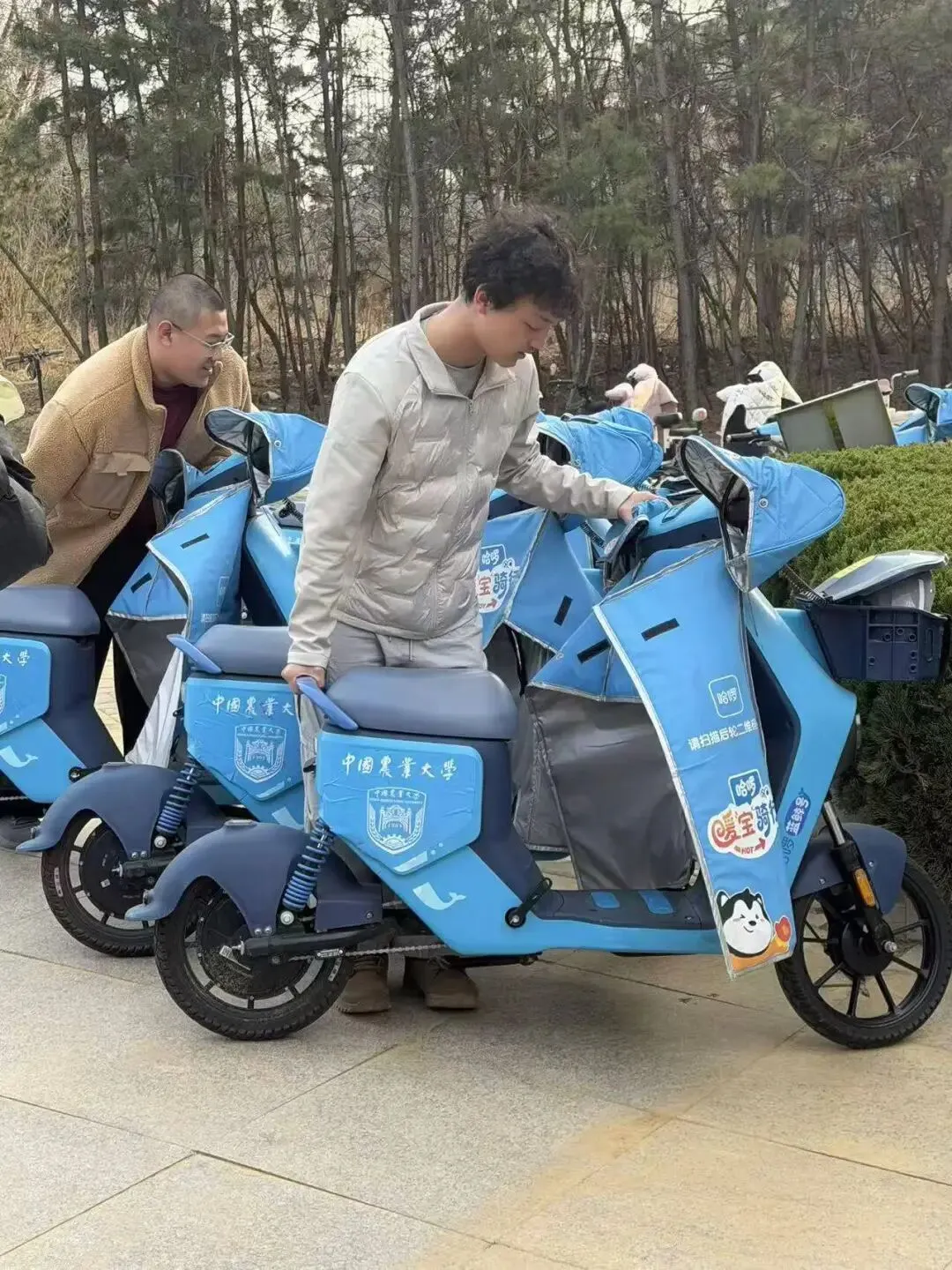 学习雷锋精神 共建美丽校园 | 营销243班主题团日活动