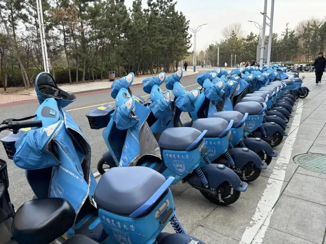 学习雷锋精神 共建美丽校园 | 营销243班主题团日活动