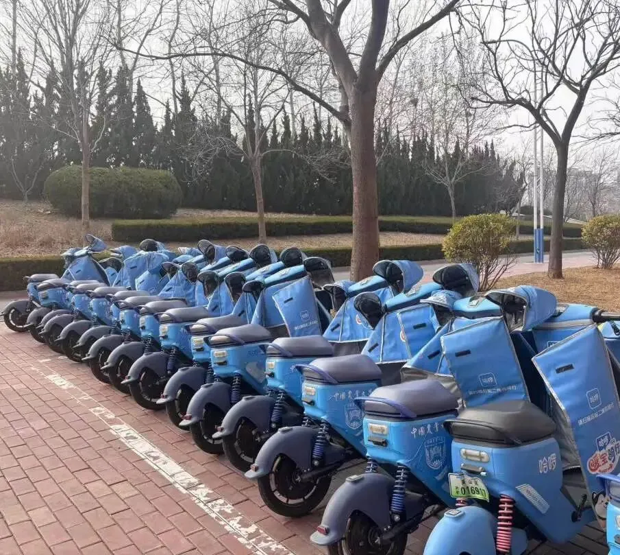 学习雷锋精神 共建美丽校园 | 营销243班主题团日活动