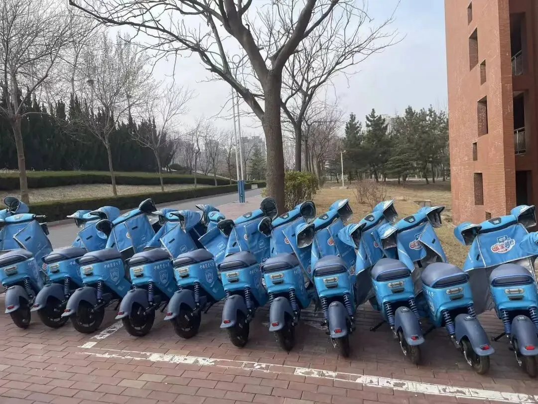 学习雷锋精神 共建美丽校园 | 营销243班主题团日活动