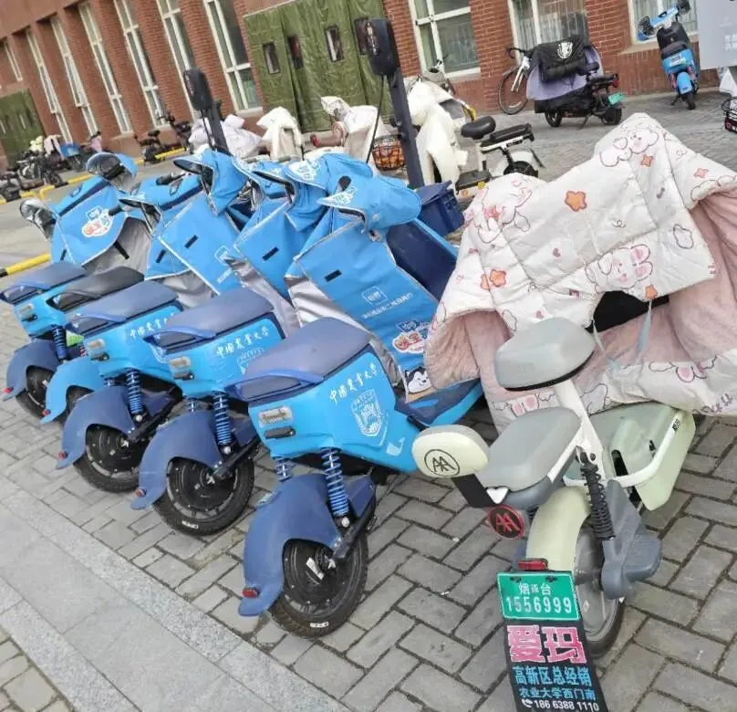 学习雷锋精神 共建美丽校园 | 营销243班主题团日活动