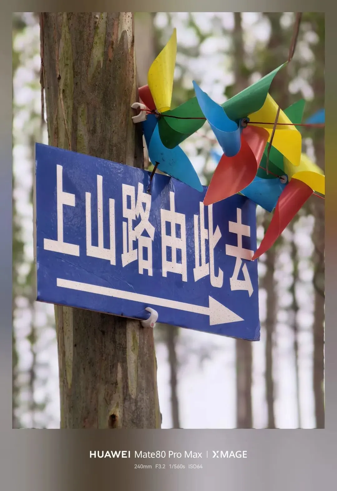 《百胜营销法》:肯德基必胜客长红多年,靠的从不是单纯打折