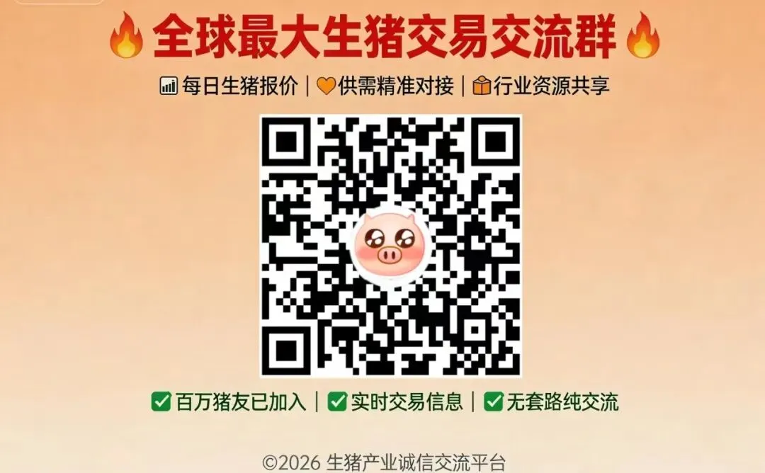 玉米市场彻底陷入僵局:利空“压顶”与政策“托底”的激烈博弈!