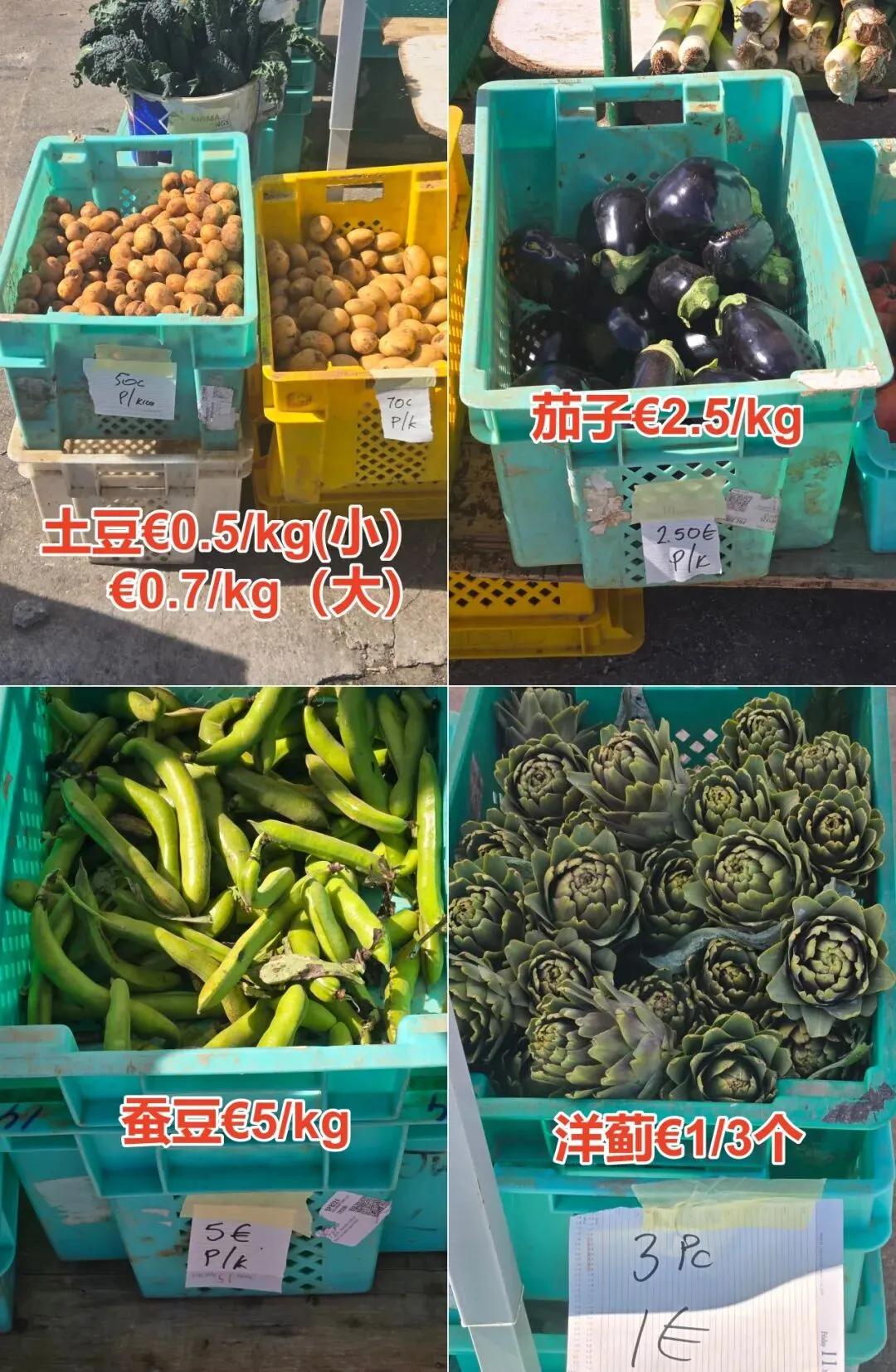 马耳他农民市场(Farmers Market Ta’Qali)3月28日菜价曝光