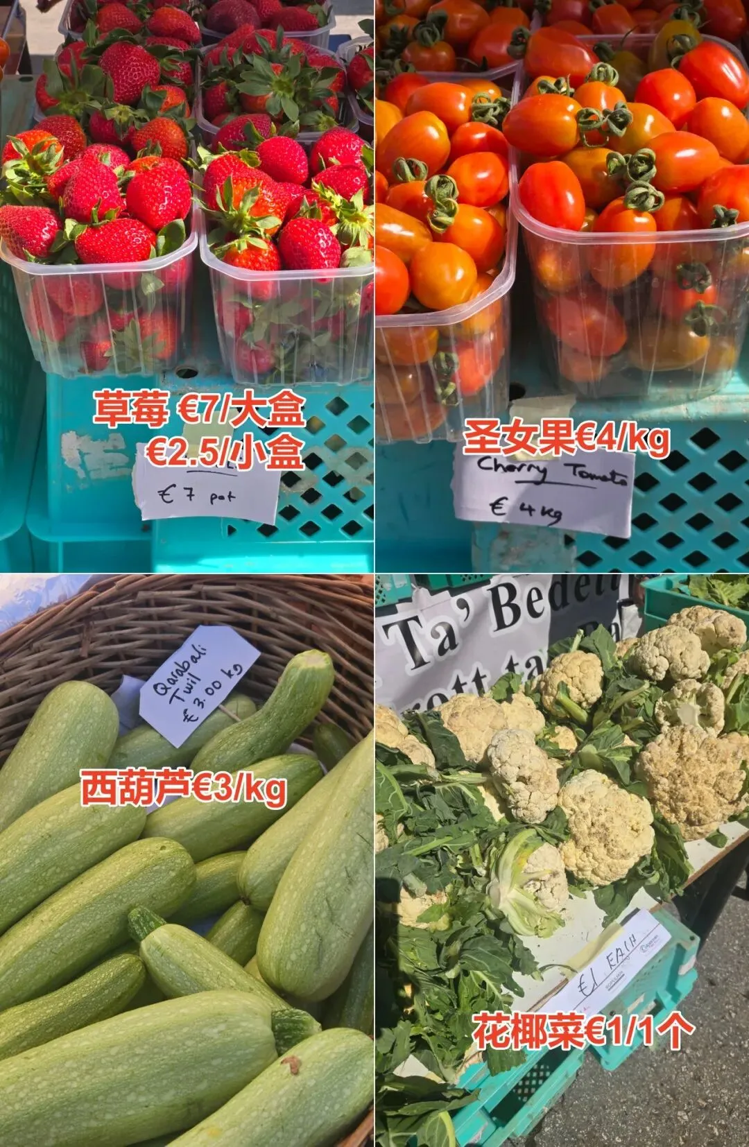 马耳他农民市场(Farmers Market Ta’Qali)3月28日菜价曝光